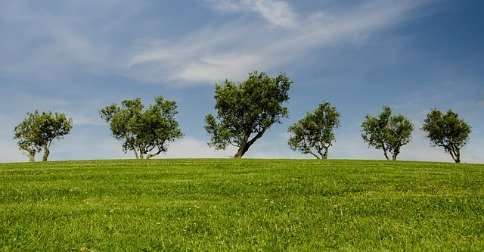 Día Mundial del Medio Ambiente